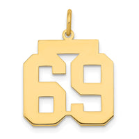 Load image into Gallery viewer, 14k Medium Polished Number 69 Charm
