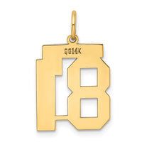 Load image into Gallery viewer, 14k Medium Polished Number 81 Charm

