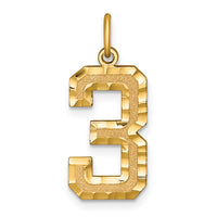 Load image into Gallery viewer, 14k Large Brushed Diamond-cut Number 3 Charm
