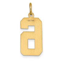 Load image into Gallery viewer, 14k Large Brushed Diamond-cut  Number 6 Charm
