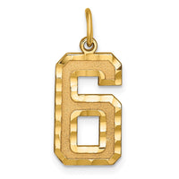 Load image into Gallery viewer, 14k Large Brushed Diamond-cut  Number 6 Charm
