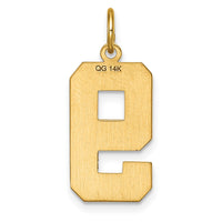 Load image into Gallery viewer, 14k Large Brushed Diamond-cut  Number 9 Charm
