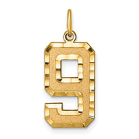 Load image into Gallery viewer, 14k Large Brushed Diamond-cut  Number 9 Charm
