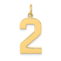 Load image into Gallery viewer, 14k  Large Polished Number 2 Charm
