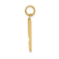 Load image into Gallery viewer, 14k  Large Polished Number 9 Charm
