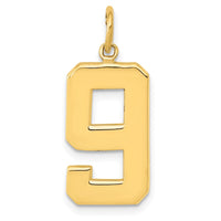 Load image into Gallery viewer, 14k  Large Polished Number 9 Charm
