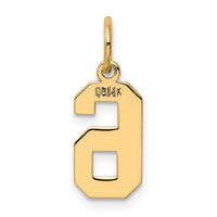 Load image into Gallery viewer, 14k Small Polished Number 6 Charm
