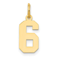 Load image into Gallery viewer, 14k Small Polished Number 6 Charm
