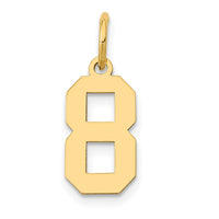 Load image into Gallery viewer, 14k Small Polished Number 8 Charm
