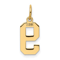 Load image into Gallery viewer, 14k Small Polished Number 9 Charm
