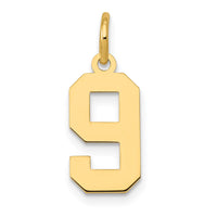 Load image into Gallery viewer, 14k Small Polished Number 9 Charm
