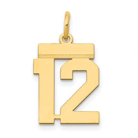 Load image into Gallery viewer, 14k Small Polished Number 12 Charm
