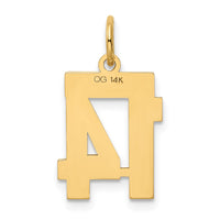 Load image into Gallery viewer, 14k Small Polished Number 14 Charm
