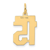 Load image into Gallery viewer, 14k Small Polished Number 15 Charm
