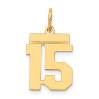 Load image into Gallery viewer, 14k Small Polished Number 15 Charm
