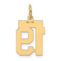 Load image into Gallery viewer, 14k Small Polished Number 19 Charm
