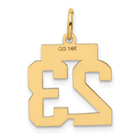 Load image into Gallery viewer, 14k Small Polished Number 23 Charm
