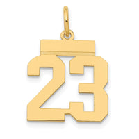 Load image into Gallery viewer, 14k Small Polished Number 23 Charm
