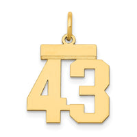 Load image into Gallery viewer, 14k Small Polished Number 43 Charm
