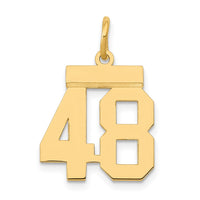 Load image into Gallery viewer, 14k Small Polished Number 48 Charm
