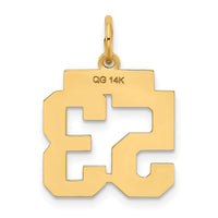 Load image into Gallery viewer, 14k Small Polished Number 53 Charm
