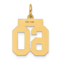 Load image into Gallery viewer, 14k Small Polished Number 60 Charm
