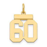 Load image into Gallery viewer, 14k Small Polished Number 60 Charm
