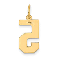 Load image into Gallery viewer, 14k Medium Satin Number 5 Charm
