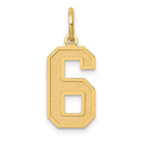 Load image into Gallery viewer, 14k Medium Satin Number 6 Charm
