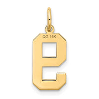 Load image into Gallery viewer, 14k Medium Satin Number 9 Charm
