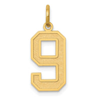Load image into Gallery viewer, 14k Medium Satin Number 9 Charm
