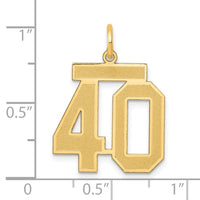 Load image into Gallery viewer, 14k Medium Satin Number 40 Charm
