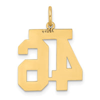 Load image into Gallery viewer, 14k Medium Satin Number 46 Charm
