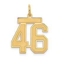 Load image into Gallery viewer, 14k Medium Satin Number 46 Charm
