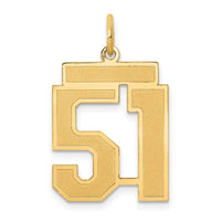 Load image into Gallery viewer, 14k Medium Satin Number 51 Charm
