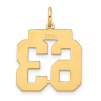 Load image into Gallery viewer, 14k Medium Satin Number 63 Charm
