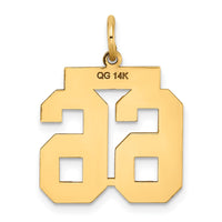Load image into Gallery viewer, 14k Medium Satin Number 66 Charm
