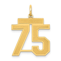 Load image into Gallery viewer, 14k Medium Satin Number 75 Charm
