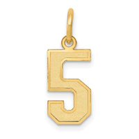 Load image into Gallery viewer, 14k Small Satin Number 5 Charm
