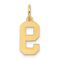 Load image into Gallery viewer, 14k Small Satin Number 9 Charm
