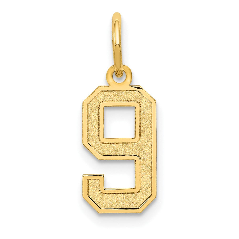 14k Small Satin Number 9 Charm