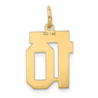 Load image into Gallery viewer, 14k Small Satin Number 10 Charm
