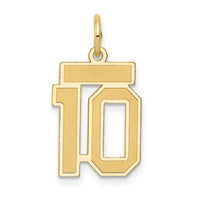 Load image into Gallery viewer, 14k Small Satin Number 10 Charm
