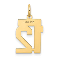 Load image into Gallery viewer, 14k Small Satin Number 12 Charm
