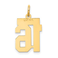 Load image into Gallery viewer, 14k Small Satin Number 16 Charm
