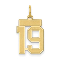 Load image into Gallery viewer, 14k Small Satin Number 19 Charm
