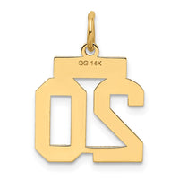 Load image into Gallery viewer, 14k Small Satin Number 20 Charm
