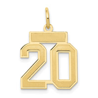 Load image into Gallery viewer, 14k Small Satin Number 20 Charm
