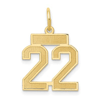 Load image into Gallery viewer, 14k Small Satin Number 22 Charm
