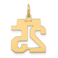 Load image into Gallery viewer, 14k Small Satin Number 25 Charm
